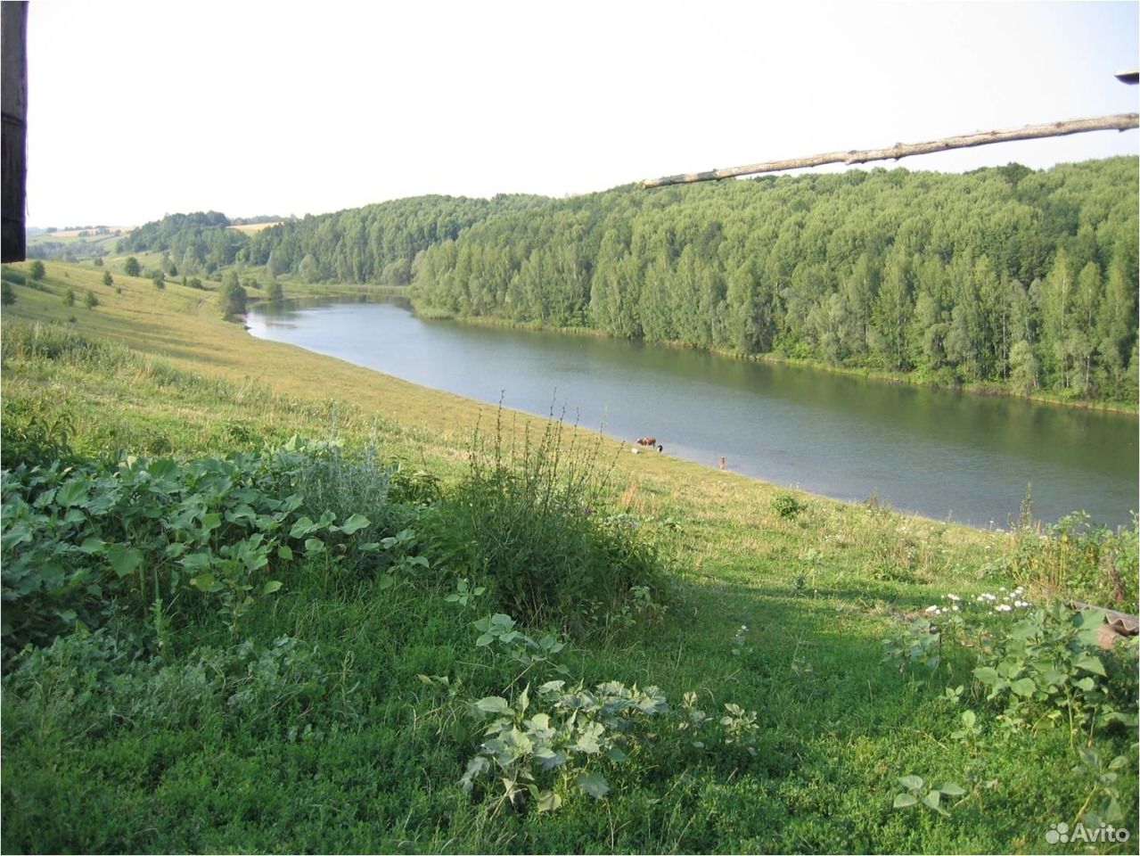 Купить Дом В Курской Области Обоянский Район