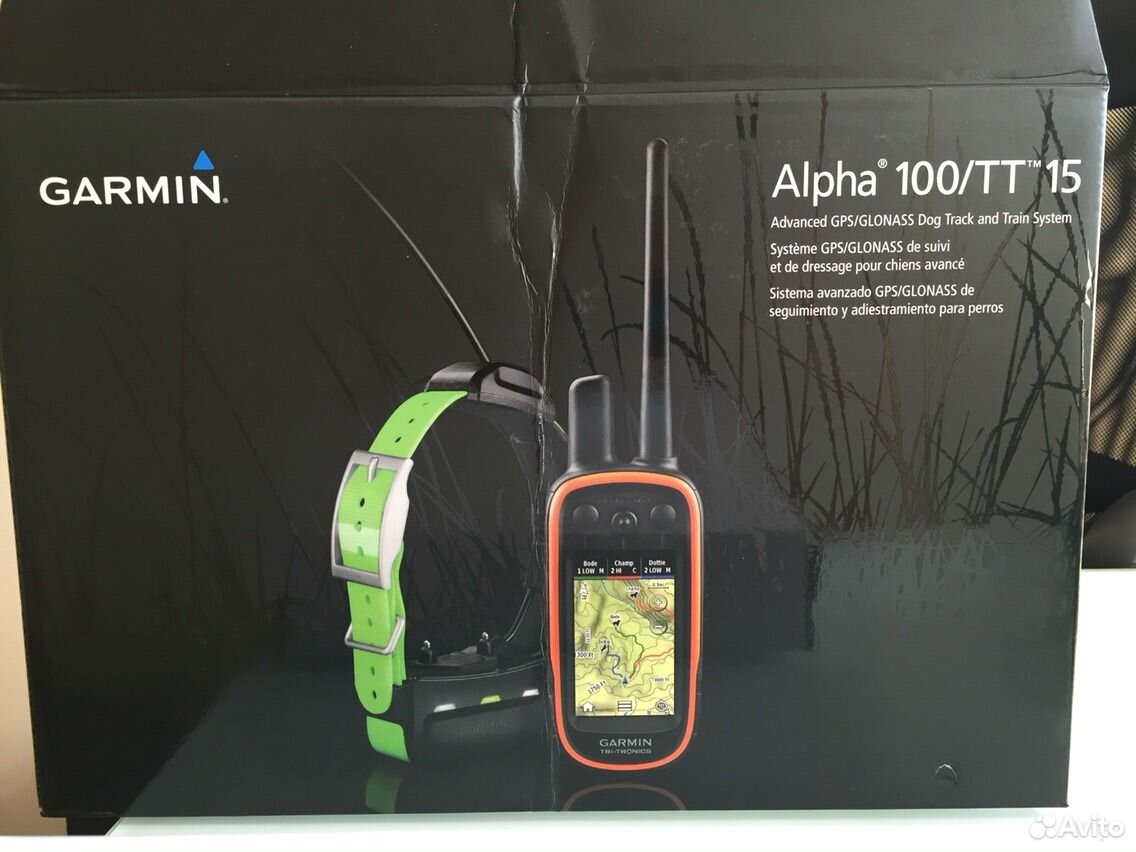 Гармин альфа 100 с ошейником. Garmin Alpha 100 с ошейником tt15. Навигатор Альфа 100 с ошейником для дрессировки. Тт15 Гармин.