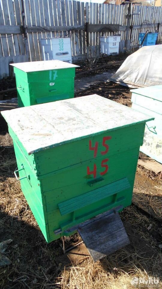 Пчелосемьи, улья купить на Зозу.ру - фотография № 3