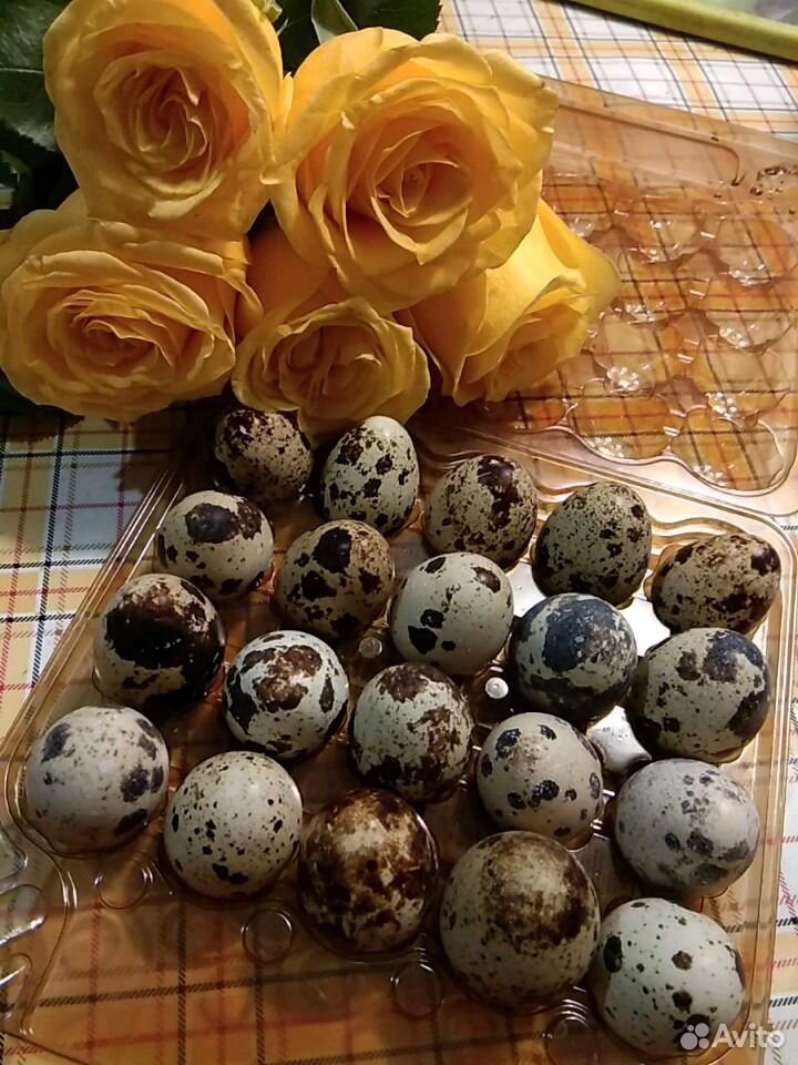 Яйца деревенские - свежие и копченые купить на Зозу.ру - фотография № 2