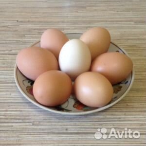 Масло яйца картошка деревенская купить на Зозу.ру - фотография № 1