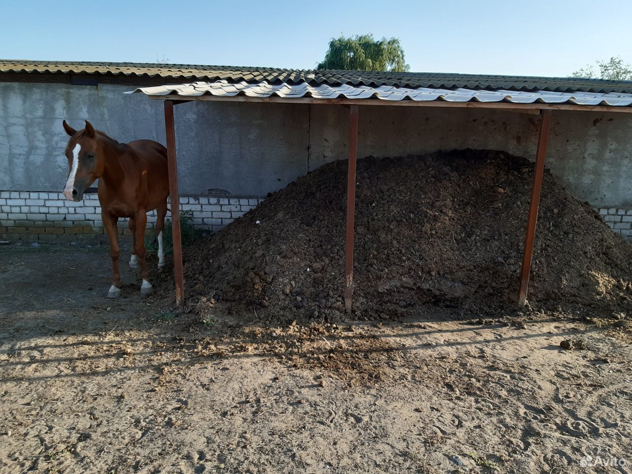 Хранилище навоза. Бурты для навоза. Хранение навоза. Хранилище навоза. Компостная яма для фермы.
