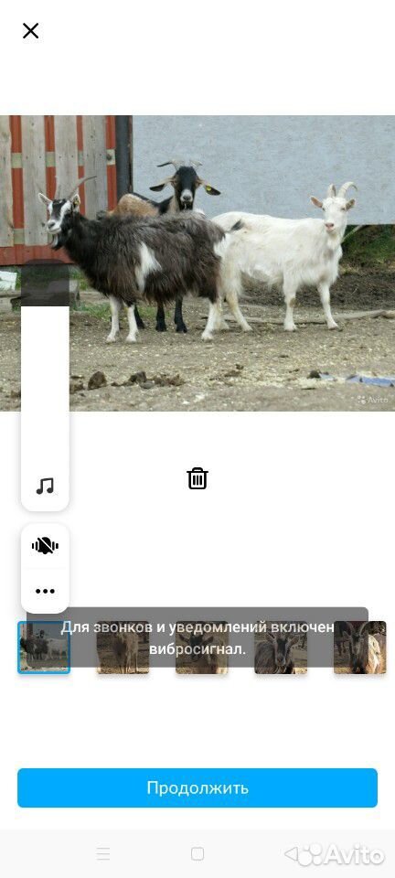 Коза с козлёнком купить на Зозу.ру - фотография № 5