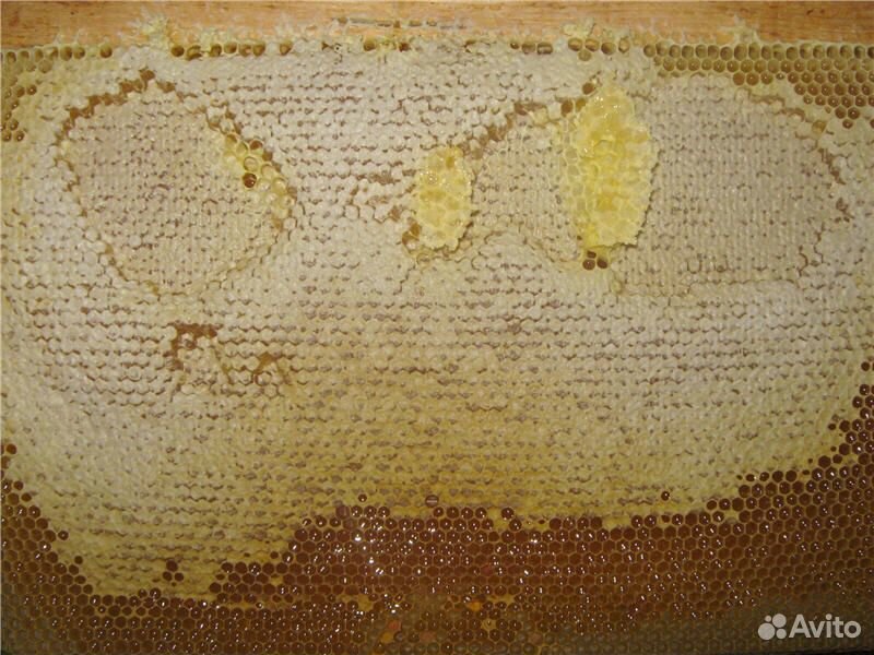 Сушь с мёдом для подкормки купить на Зозу.ру - фотография № 1