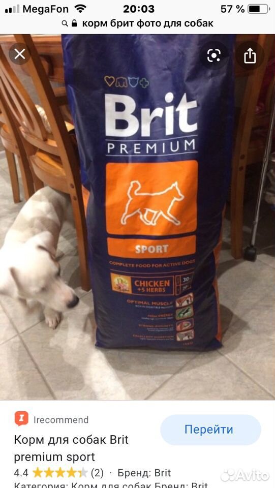 Сухой корм для собак brit. Brit корм. Брит корм для собак. Brit для собак крупных пород. Корм Брит премиум для собак.