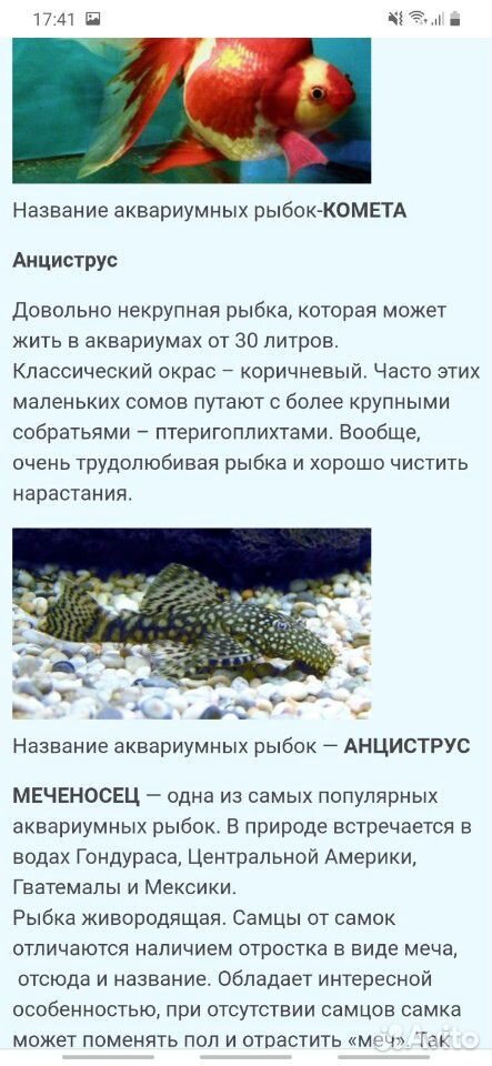 Рыба купить на Зозу.ру - фотография № 9