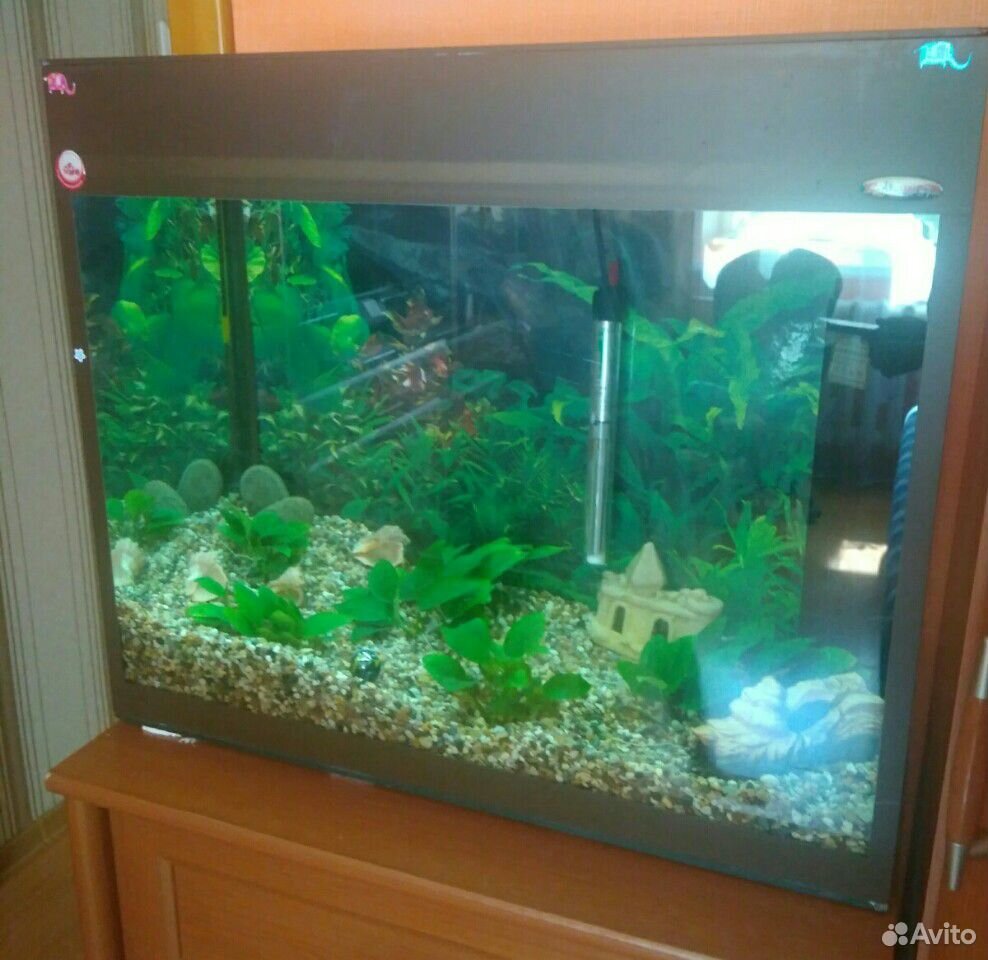 Продам аквариум со всеми принадлежностями купить на Зозу.ру - фотография № 1