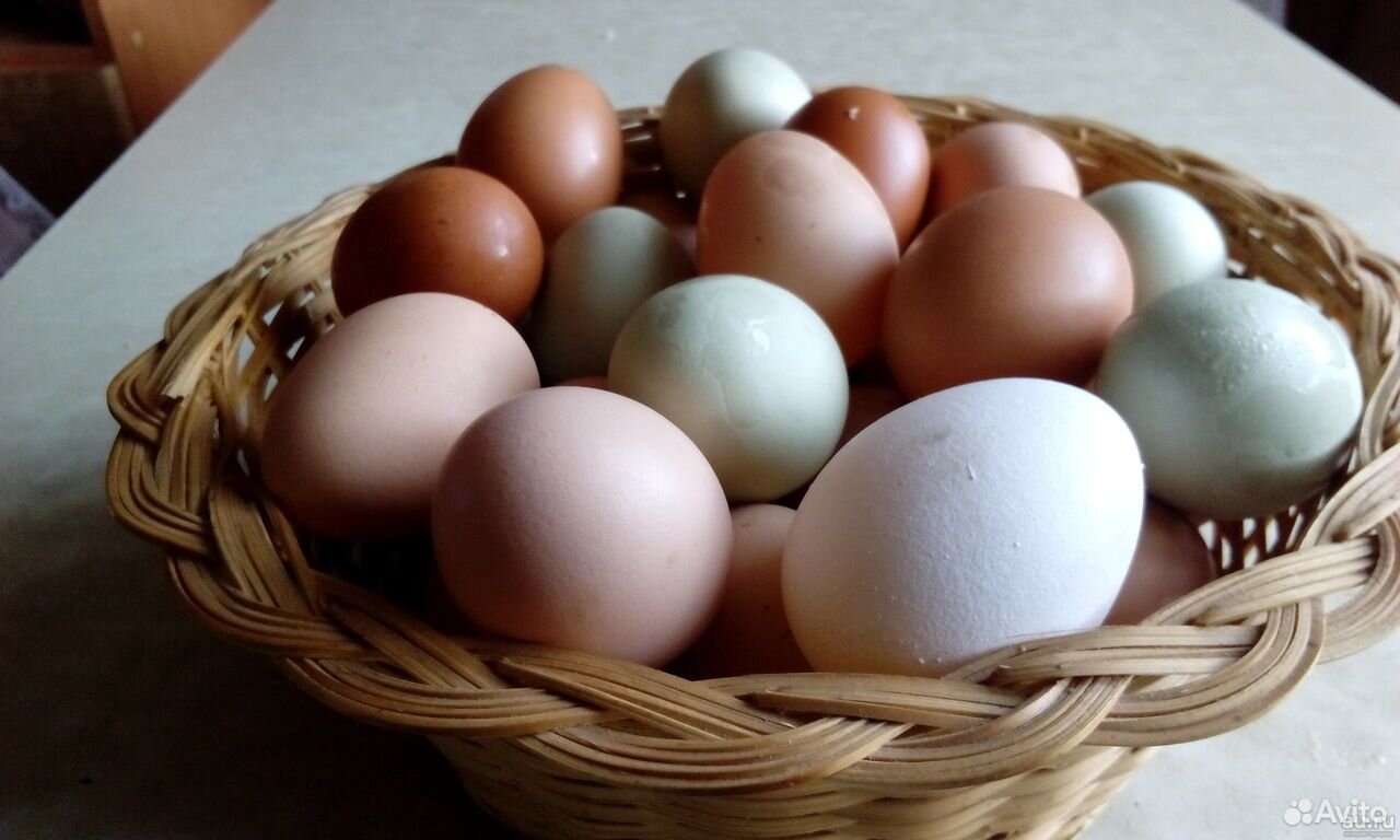 Яйца куриные домашние купить на Зозу.ру - фотография № 2