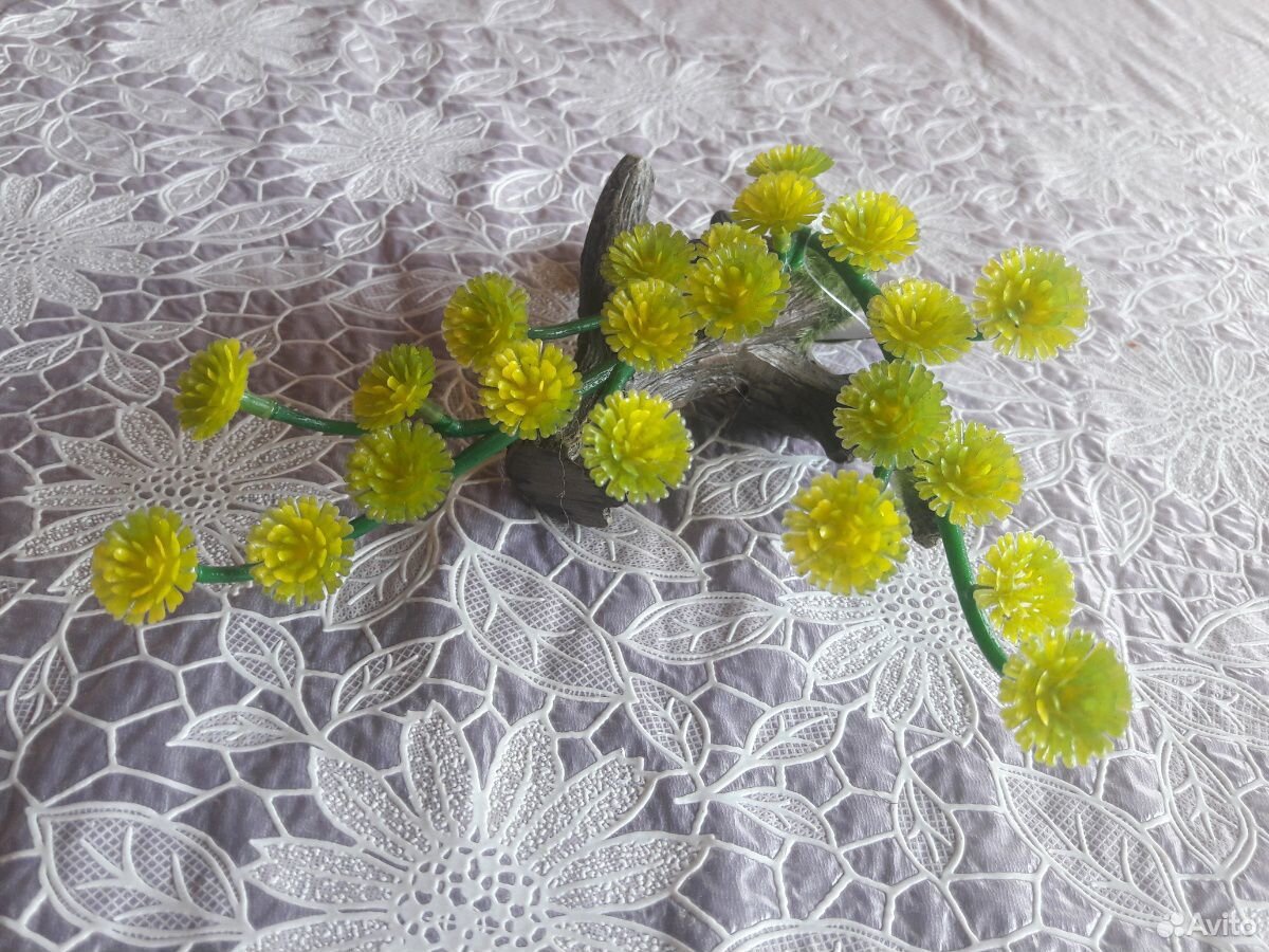 Растения, фильтр купить на Зозу.ру - фотография № 3