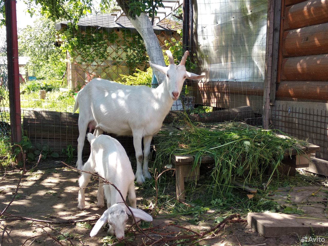Коза с козленком купить на Зозу.ру - фотография № 3