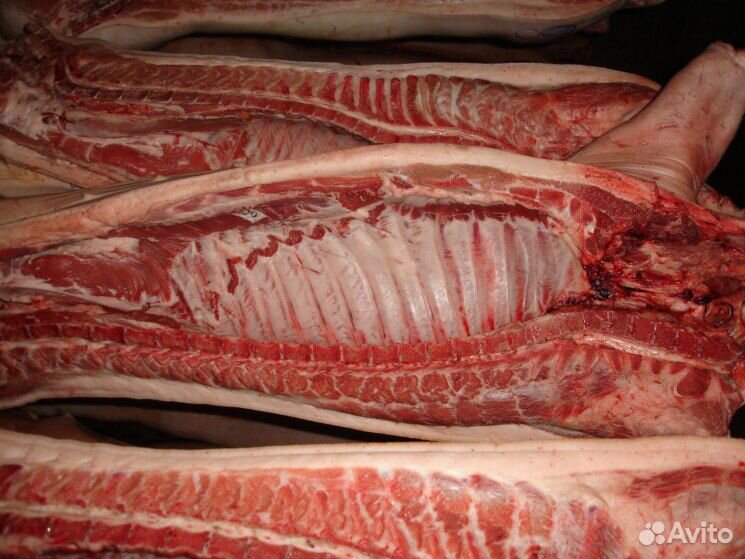 Свинина мясом, либо живьем купить на Зозу.ру - фотография № 2