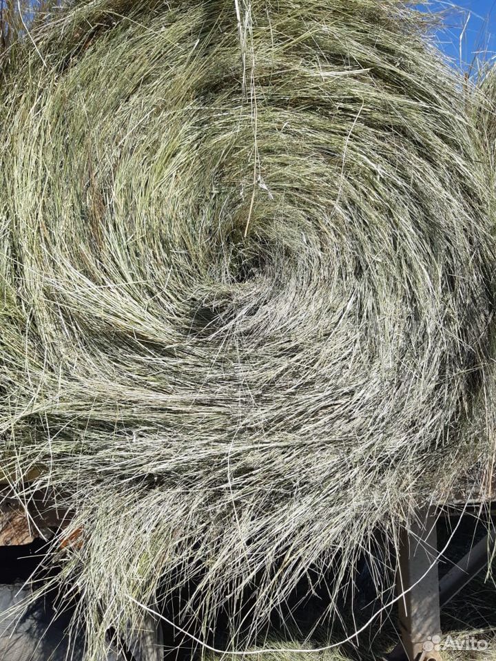 Отборное сено в рулонах урожай 20-го года купить на Зозу.ру - фотография № 1