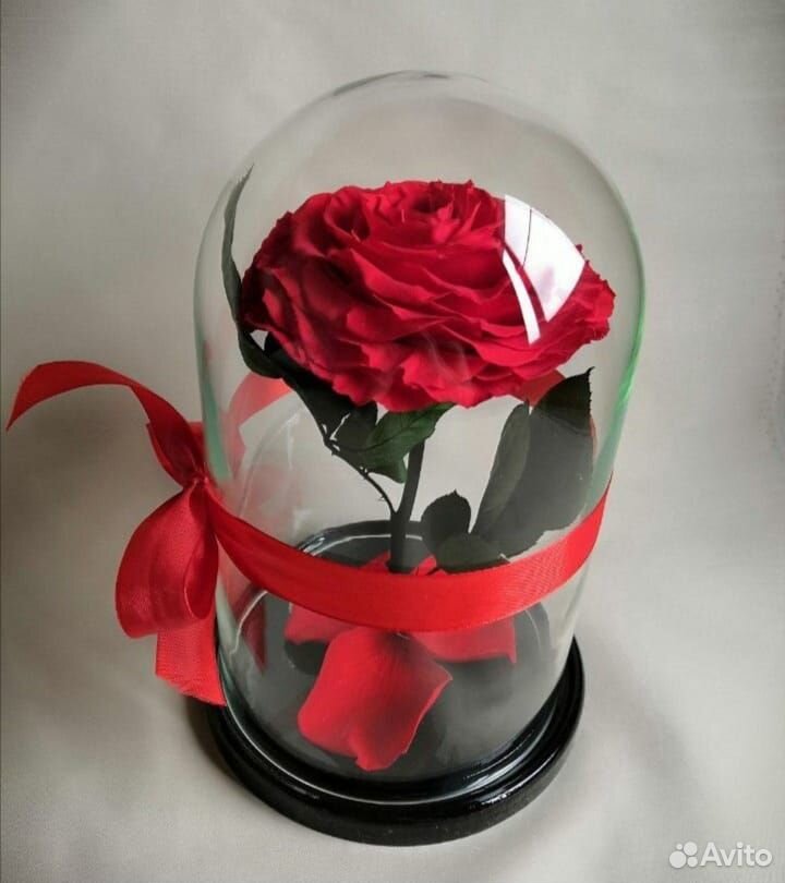 Купить розу в колбе в спб. Шоколадный цветок в колбе. Поделка в колбе на 14 февраля.