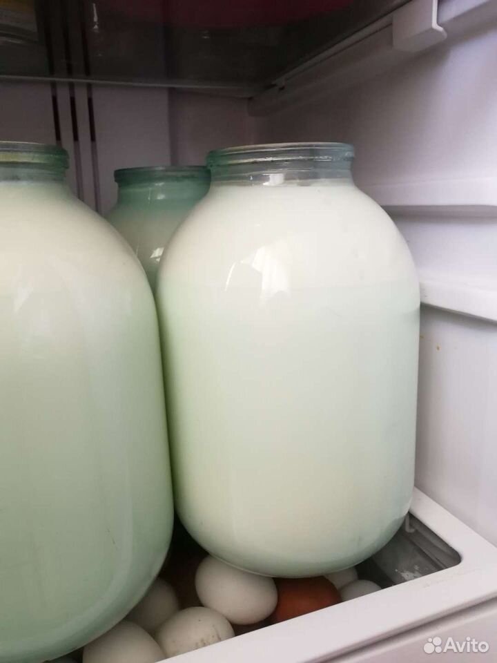 Домашнее молоко купить на Зозу.ру - фотография № 1