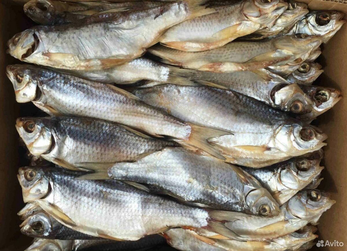 Живые раки,сушёная рыба купить на Зозу.ру - фотография № 3