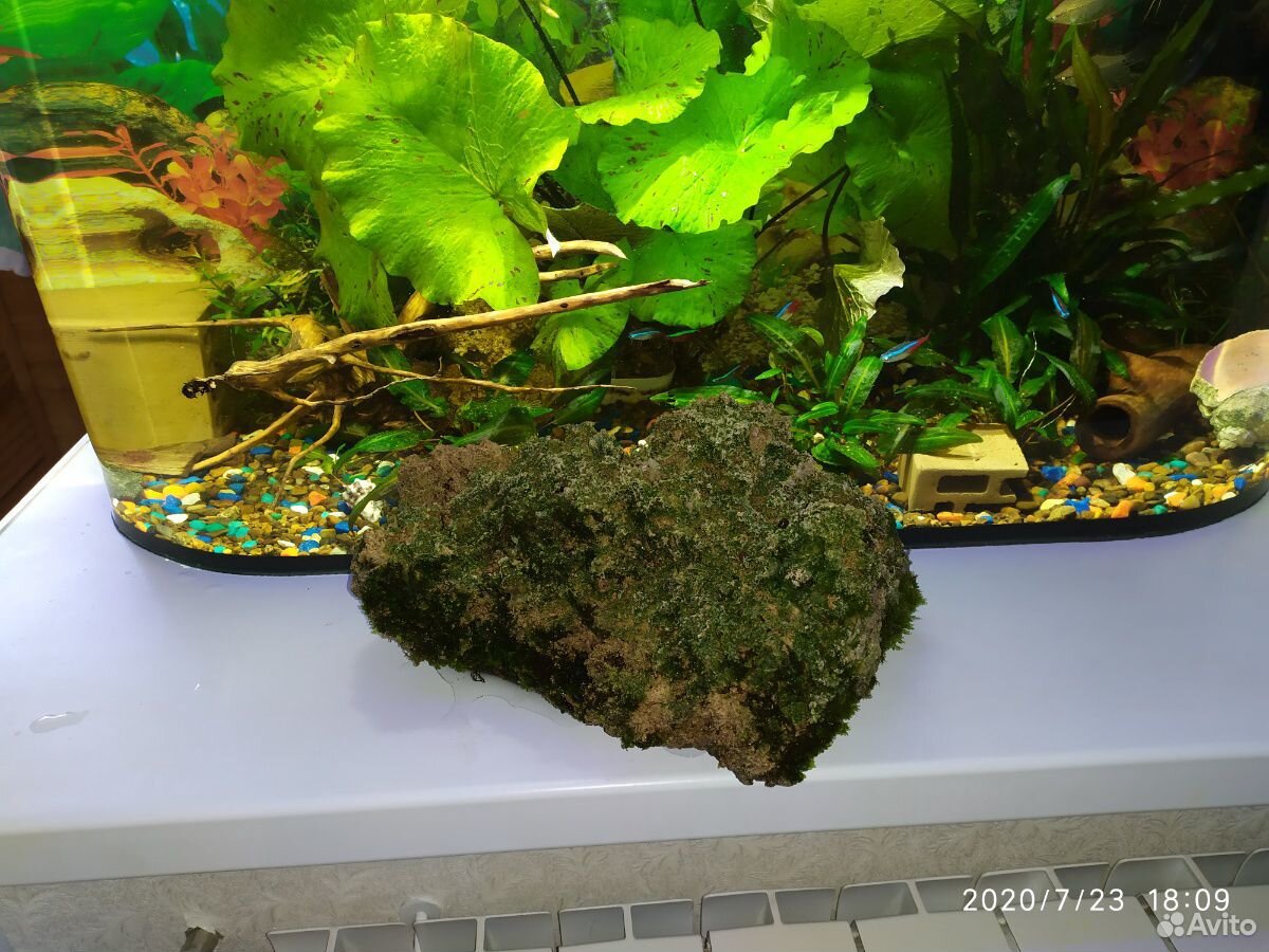 Красивые камни в аквариум купить на Зозу.ру - фотография № 2