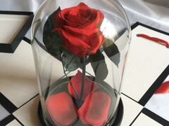 Вечная Роза Красная