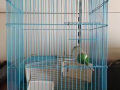 Клетка для попугаев или хомяков