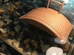 Мостик для водяных черепах