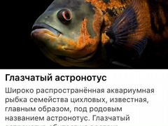 Рыба глазчатый астронотус