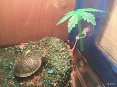 Островок в аквариум для черепахи