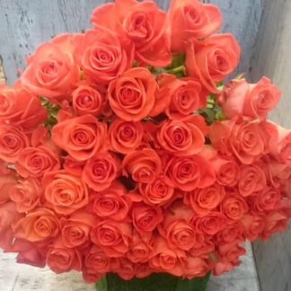 Роза оранжевая премиум класса.60 см. 24/7.Доставка