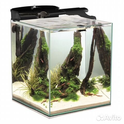 Новый аквариум Aquael Fish & Shrimp Set Duo