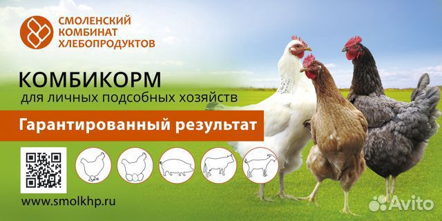 Комбикорма для профессионалов