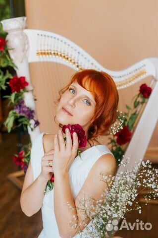 Арфа. Арфистка