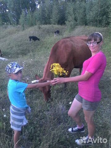 Творог, Домашняя деревенская молочная продукция