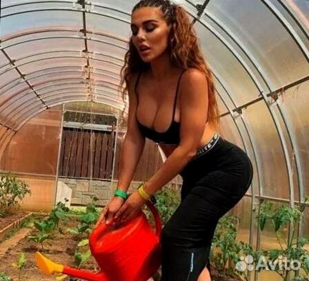 Теплица из поликарбоната 