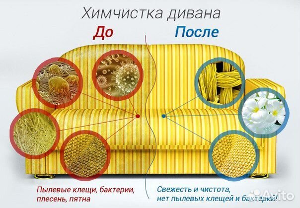 Химчистка ковровых покрытий и мягкой мебели Химчистка ковровых покрытий и мягкой мебели