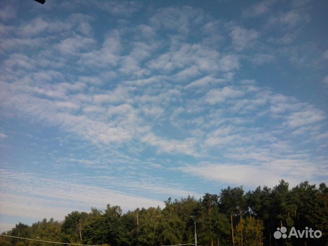 Участок 10 сот. (СНТ, ДНП) Участок 10 сот. (СНТ, ДНП)