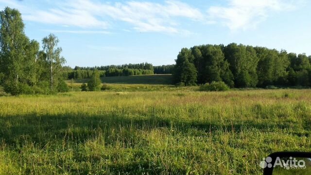Владимирская область петушинский район фото Церковь Спаса Преображения, Новый Спас (Петушинский район), фотография. фасады
