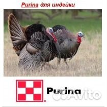 Комбикорм Пурина для с/х животных и птиц купить на Зозу.ру - фотография № 3