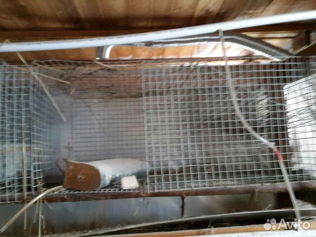 Клетки для кроликов из оцинкованной сварной сетки купить на Зозу.ру - фотография № 1