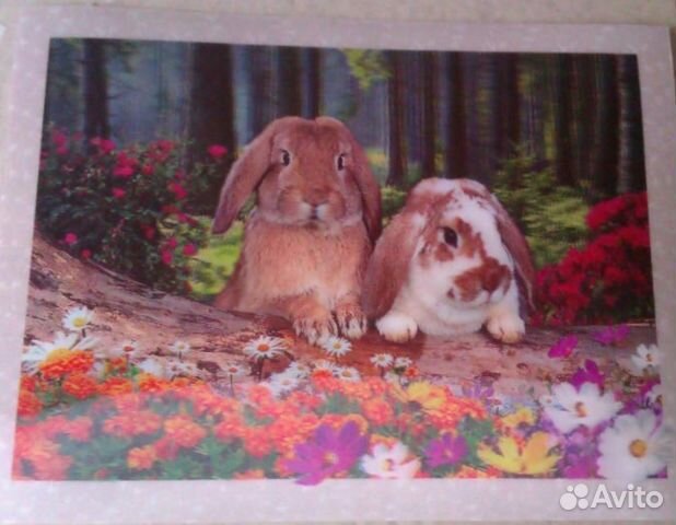 Кролики новая 3d-картина 39,5 х 29,5 см