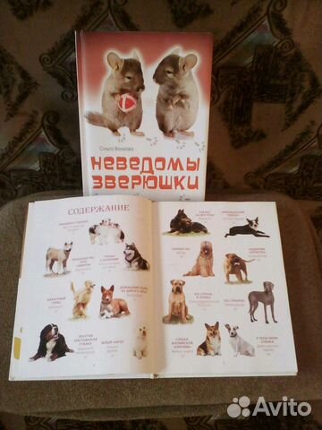 Книги Книги