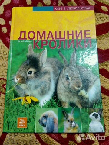 Книга Домашние кролики Книга Домашние кролики