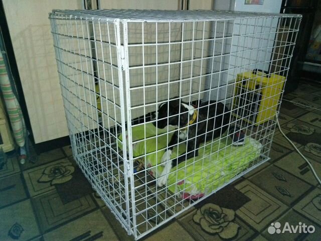 Клетка для большой собаки комнатная купить на Зозу.ру - фотография № 3