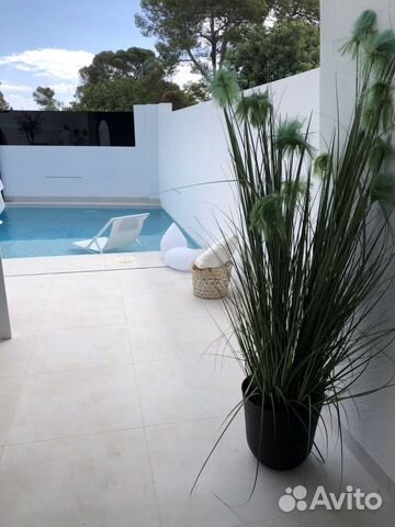 Дом (Испания)