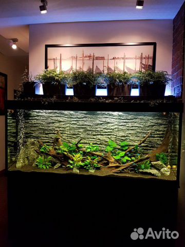 Аквариумы под ключ