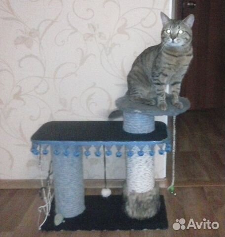 Подиум когтеточка для кошек купить на Зозу.ру - фотография № 1