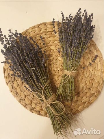 Лаванда сушеная Лаванда сушеная