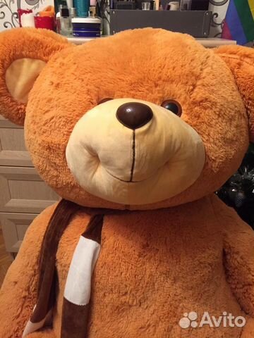 Отдам медведя в хорошие руки Отдам медведя в хорошие руки