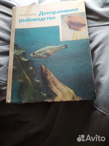 Декоративное рыбоводство Новая