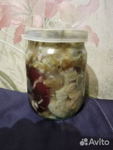 Грибы