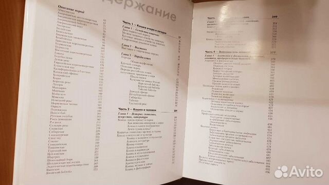 Энциклопедия кошки Энциклопедия кошки