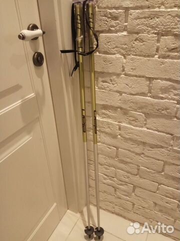 Новые горнолыжные палки Elan Exar 115