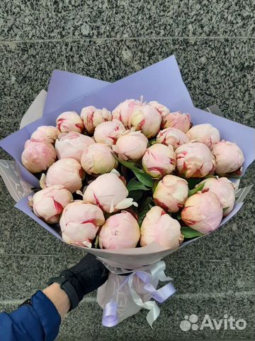 Пионы 11 15 19 25 31 букет пионов